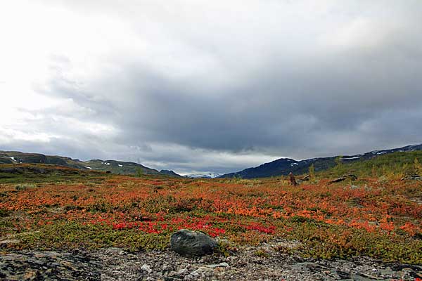 Das Kamajåkkatal in herbstlichen Farben