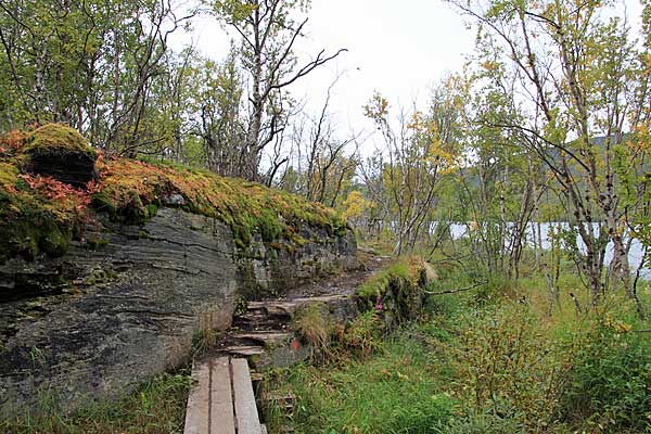 Auf dem Kungsleden