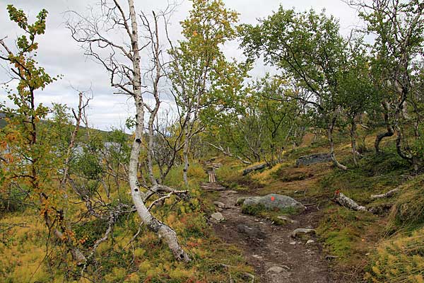 Auf dem Kungsleden