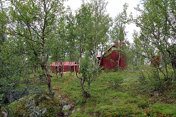 Hambergs Vetenskapsstn