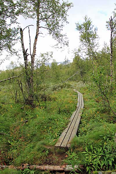 Holzstege am Boarekjávrre