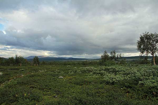 Das Kalfjäll ist erreicht