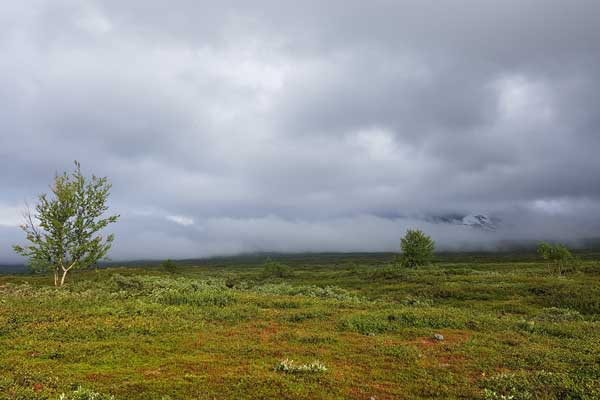 Wolken ziehen am Boarekjåhkkå entlang