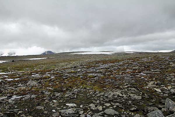 Kuppe auf der Luohttoláhko-Ebene