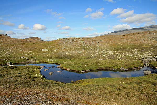 Kleiner Bach vom Låptåvárásj