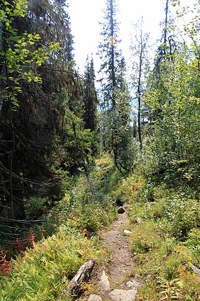 Abstieg nach Kvikkjokk