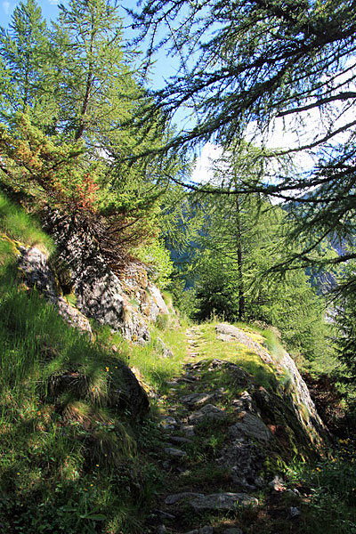 Wanderweg bei St. Niklolaus