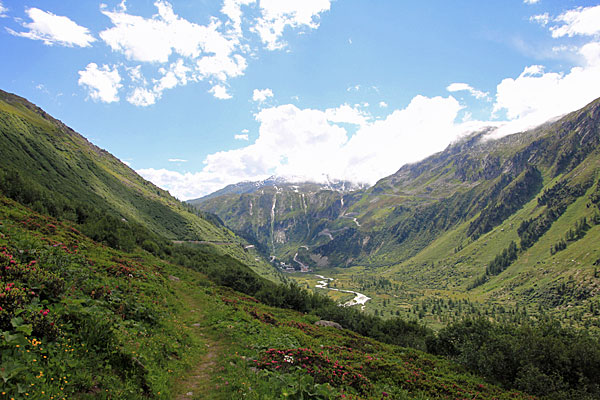 Blick über Gletschbode und Gletsch