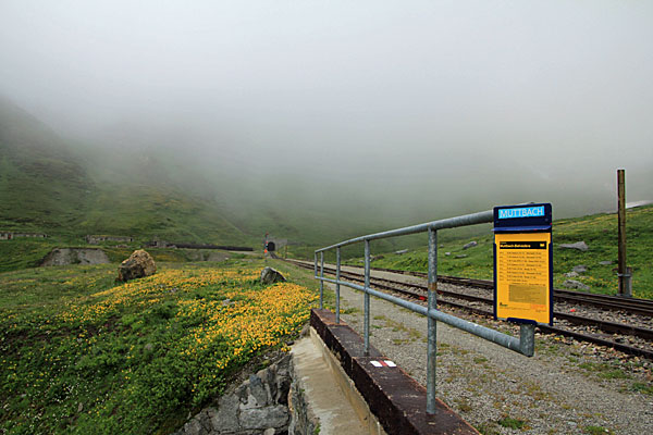 Bahnhof Muttbach-Belvédère