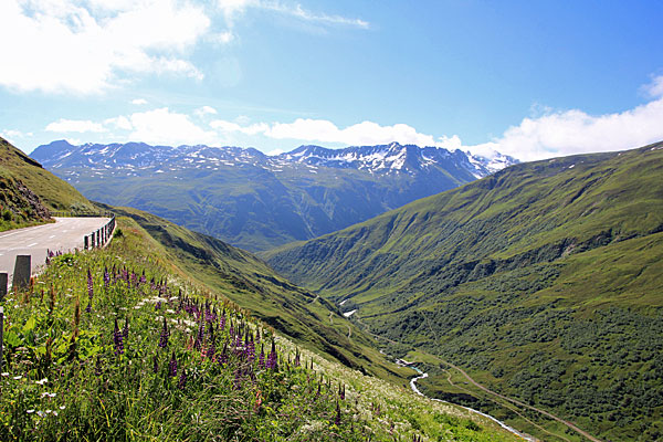 Blick von Tiefenbach nach Osten