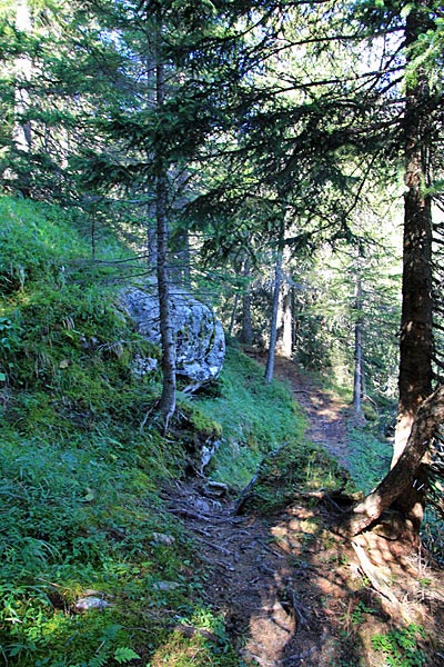 Bergwanderweg am Tgarnet