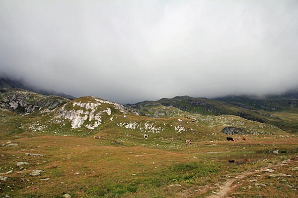 Dichte Wolken am Pass Forcellina