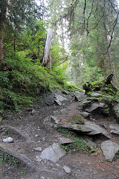 Weg zur Alp de Rog