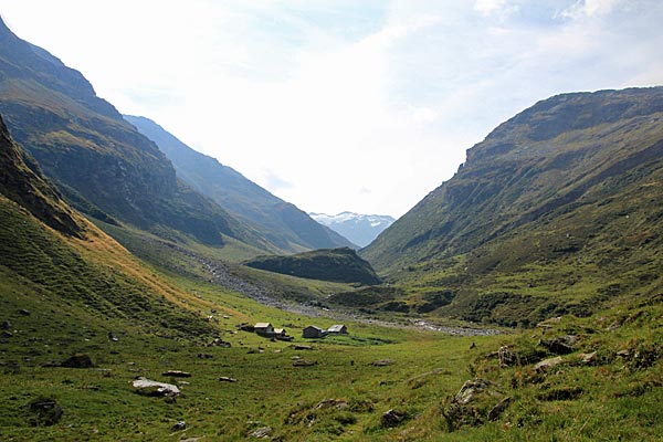 Alp de Rog