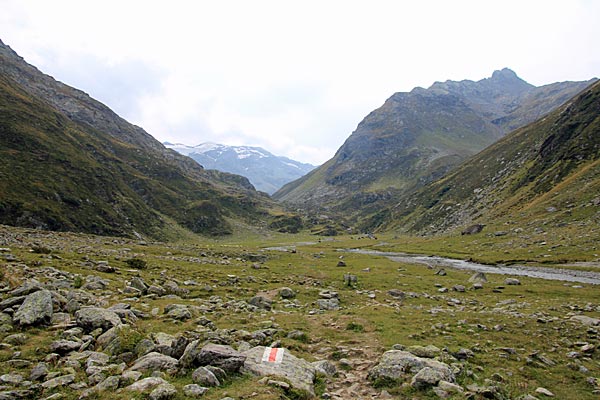 Ebene an der Alp Curciusa Bassa