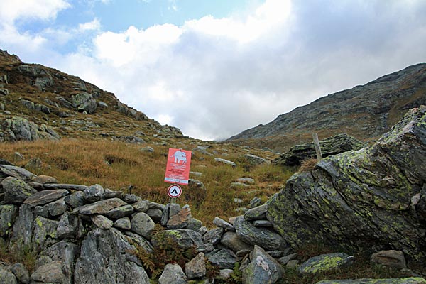 Steinmauer der Alp Areua