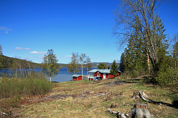 Kyrksvedjan