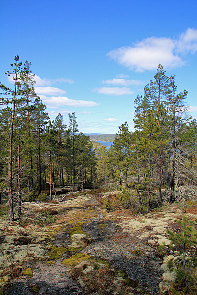 Blick vom Kulberget