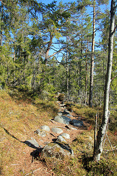 An der Bucht Grönsviksfjärden