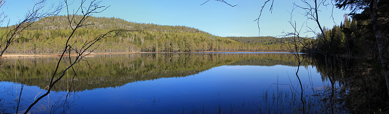 Nördomstjärnen