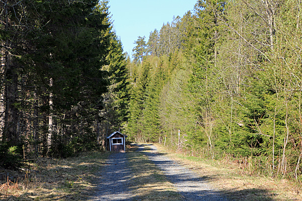 Forstweg