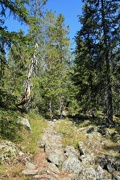 Aufstieg zum Jon-Nilsberget