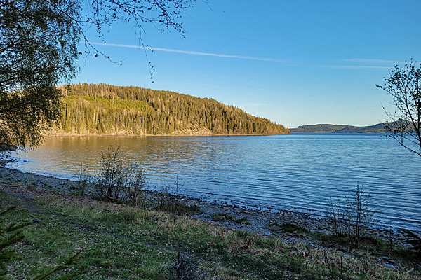 Svartviken