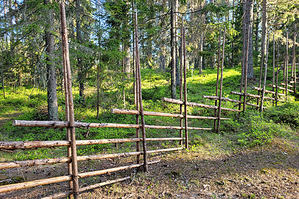 Schwedischer Weidezaun