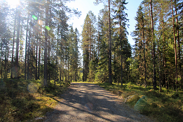 Zufahrt zum Mäjasjöns fäbodar