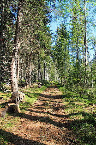 Alte Küstenstrasse