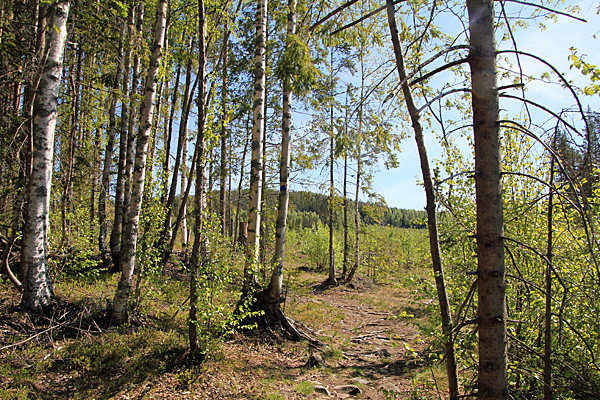 Weg zum Fäberget