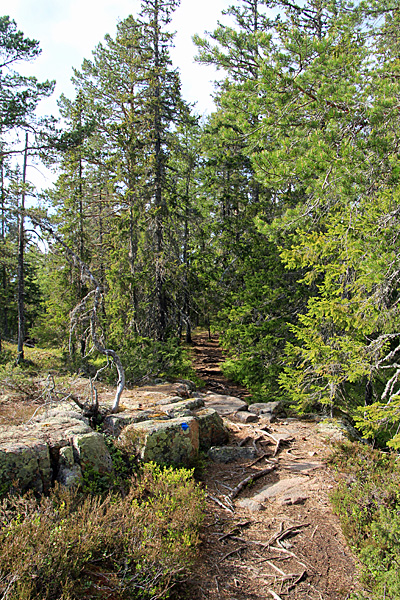 Östra Bergsstigen