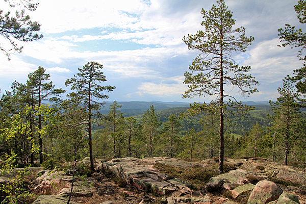 Blick nach Norden