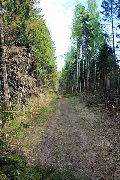 Am Tjärnberget