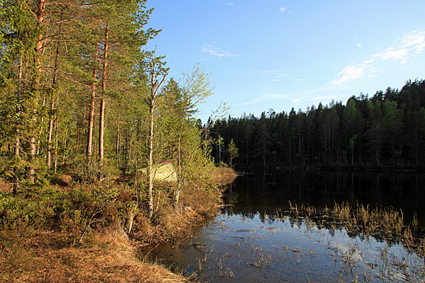 Hemtjärnen