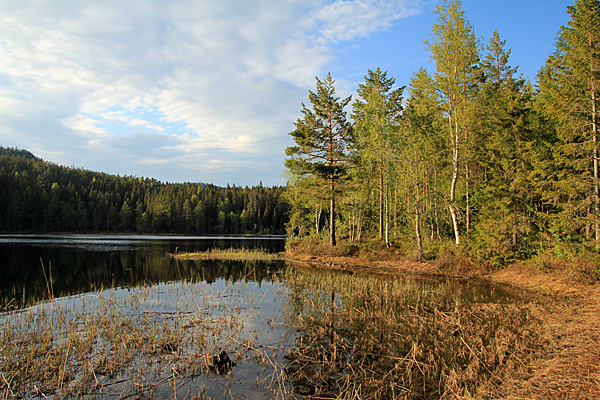 Hemtjärnen