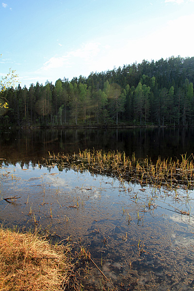 Hemtjärnen