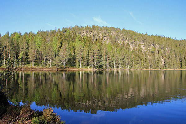 Hemtjärnen