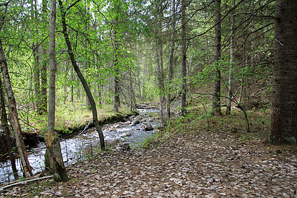 Am Dalssjöbäcken