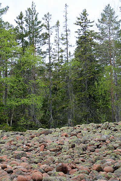 Geröllfeld im Slåttdalen