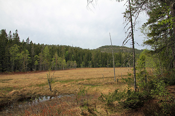 Slåttdalen