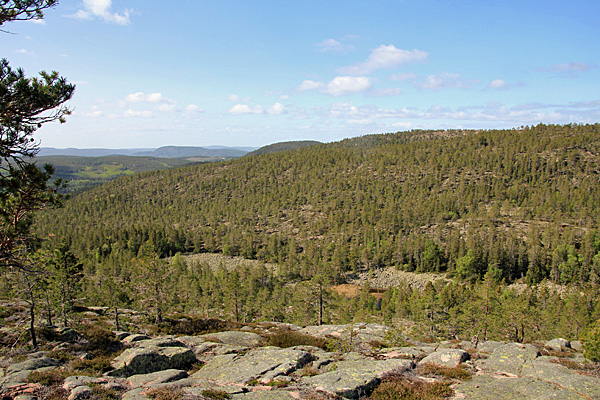 Blick über das Slåttdalen