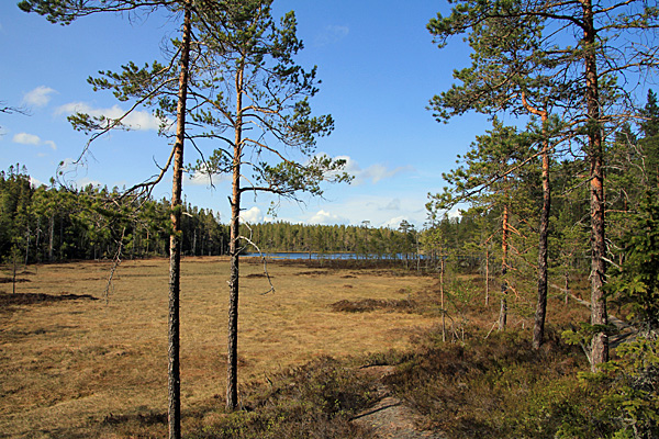 Am Tärnättvattnen