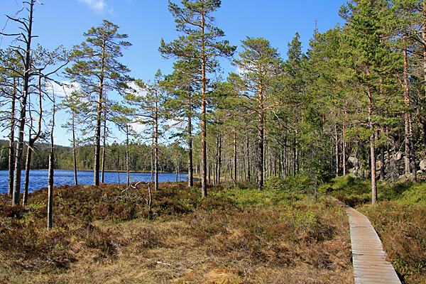 Am Tärnättvattnen