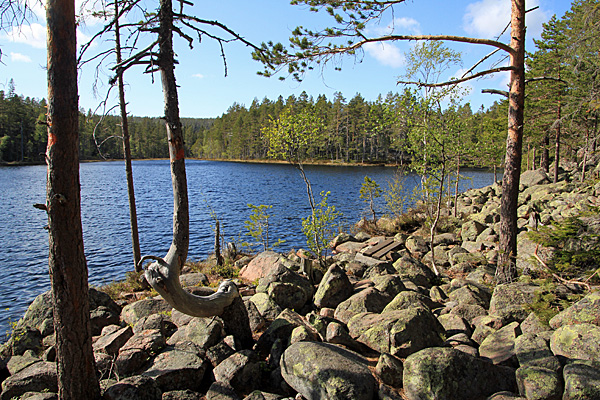 Am Tärnättvattnen