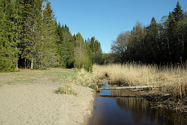 Tältplats Salsviken