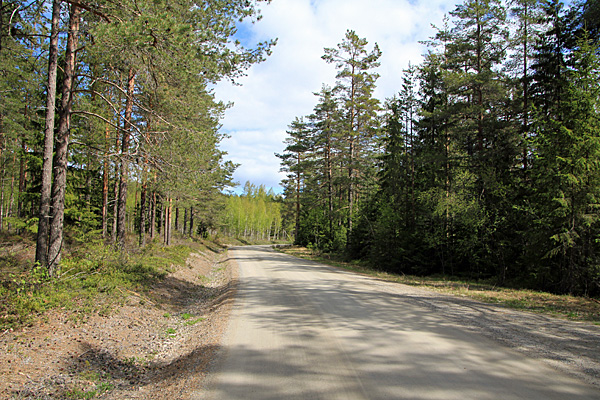 Fahrweg nach Hålviken