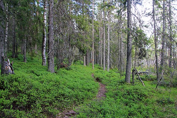 Am Täcksberget