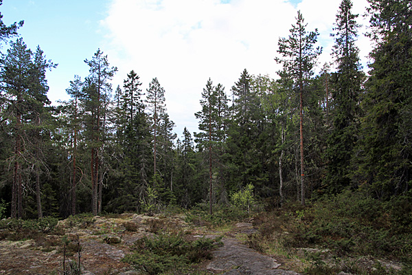 Abstieg nach Sör-Balesviken