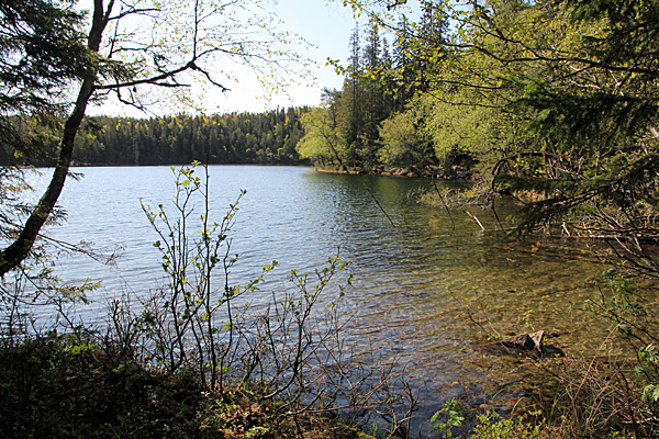 Balestjärnen